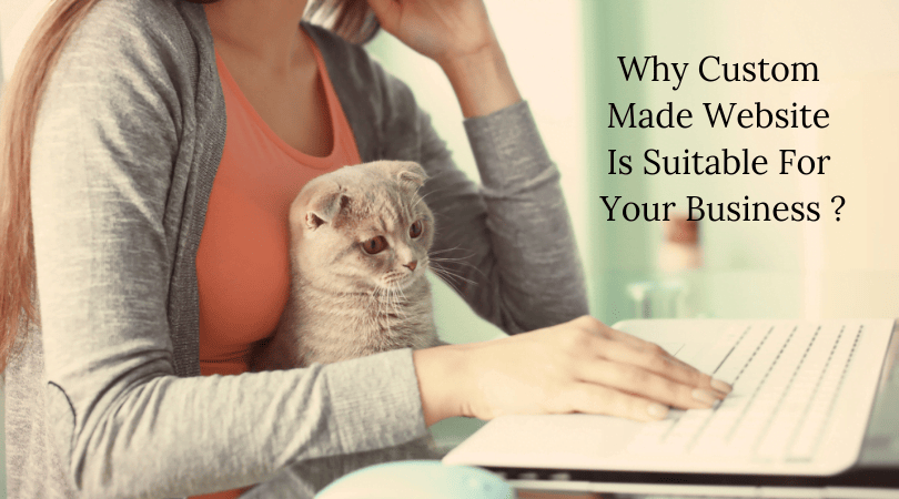 Why Custom Made Website Is Suitable For Your Business? 6