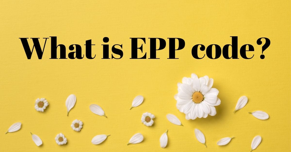 What is EPP code / Auth code? BigDomain.my Malaysia Domain SEO