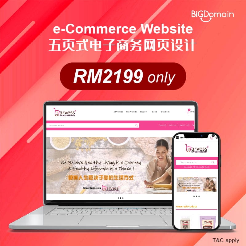 WordPress Web Design promotion start from RM499 only !!! 3