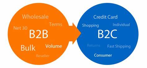 Ecommerce Business Models Which Works 1 Ecommerce Business Models Which Works 1