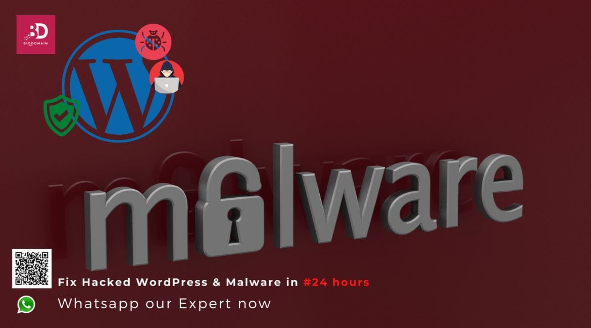 bigdomain wordpress malware clean and protection