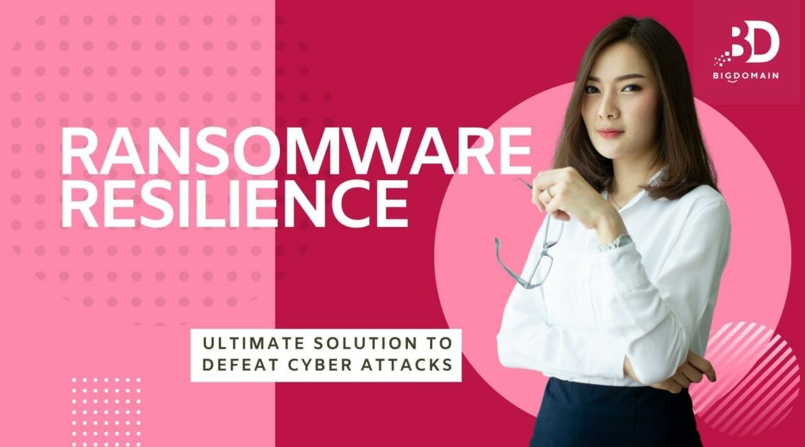 Ransomware Resilience: Ultimate Solution to Defeat Cyber Attacks 1