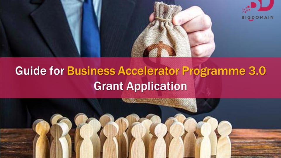 Guide to Business Accelerator Programme 3.0 Grant Application by BigDomain.my