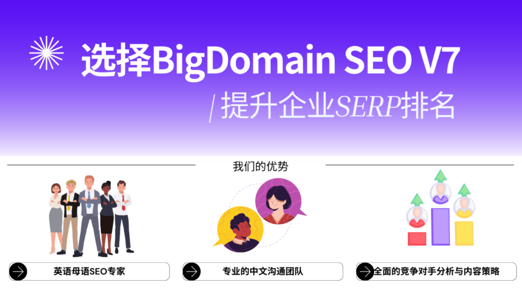 BigDomain SEO服务 (SEO Services Malaysia)
