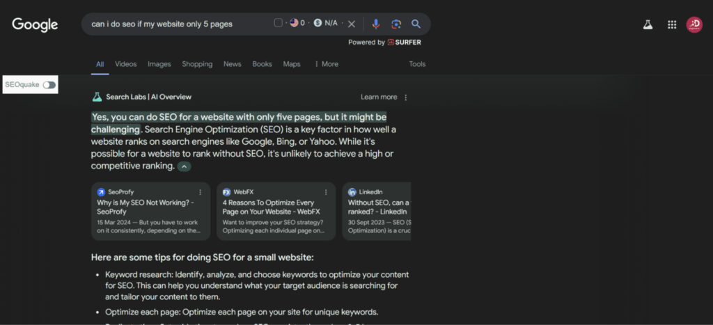 Can a Website Successfully Implement SEO Marketing with Fewer Pages? 1 Response of Google AI Overview