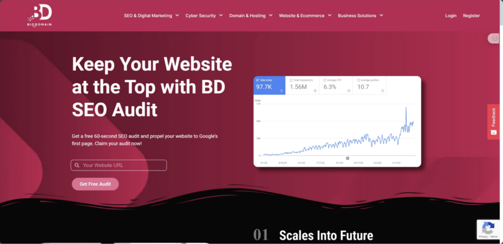 Free SEO Audit
