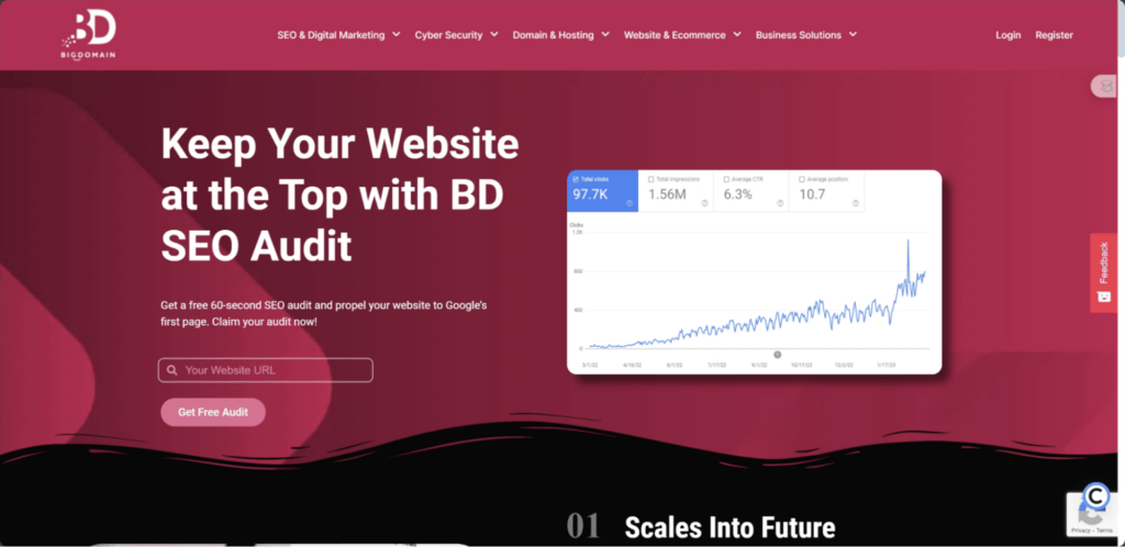 BigDomain SEO服务 (SEO Services Malaysia)
