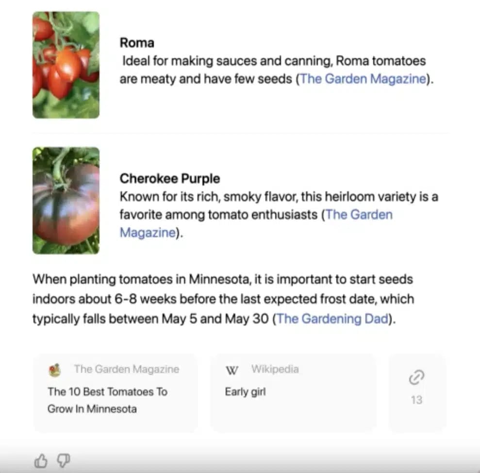 Search result example shows in SearhGPT prototype interface (Image Source)